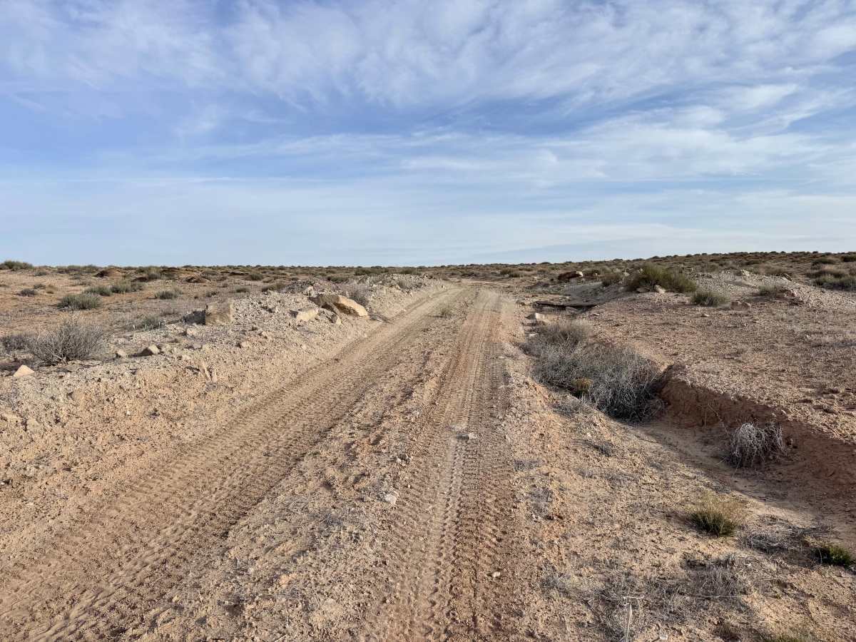 Gillis Ranch photo 3