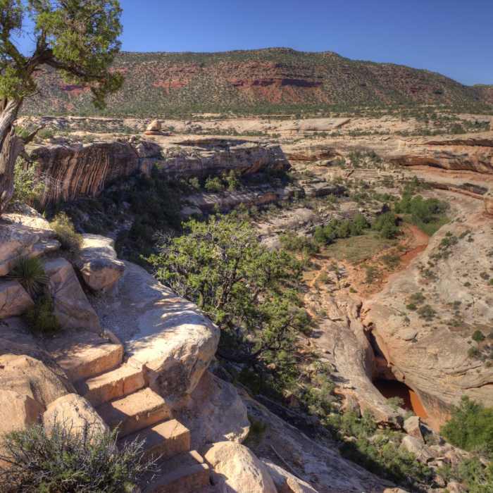 Near Kachina Bridge Trail