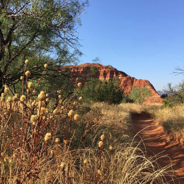 Fall morning Near Lighthouse Trail