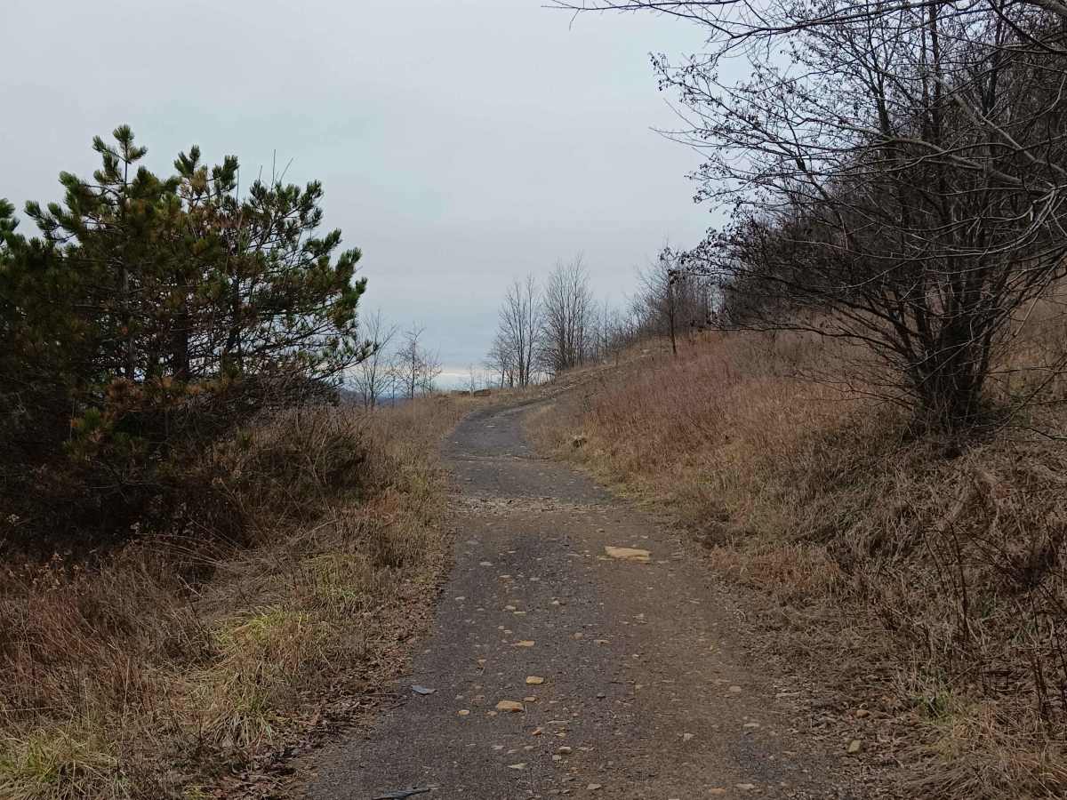 Trail 5 - Rock Run Recreation Area photo 4
