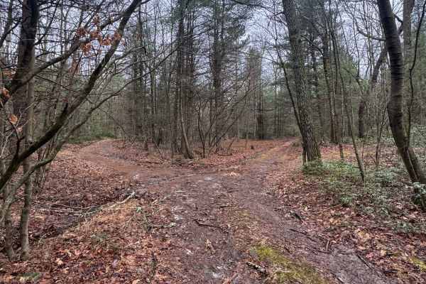 Middle Ridge Trail