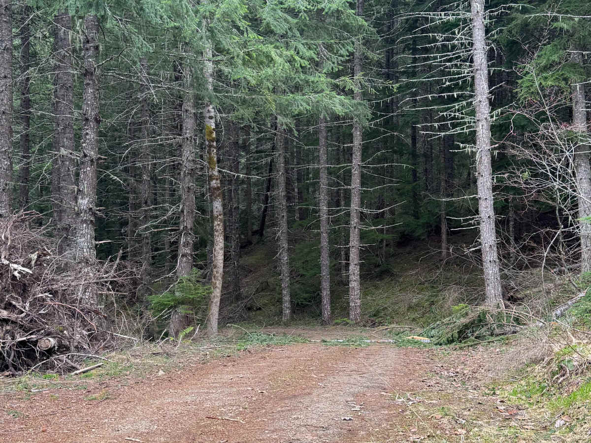 Watch Lake - FS 7561 photo 2