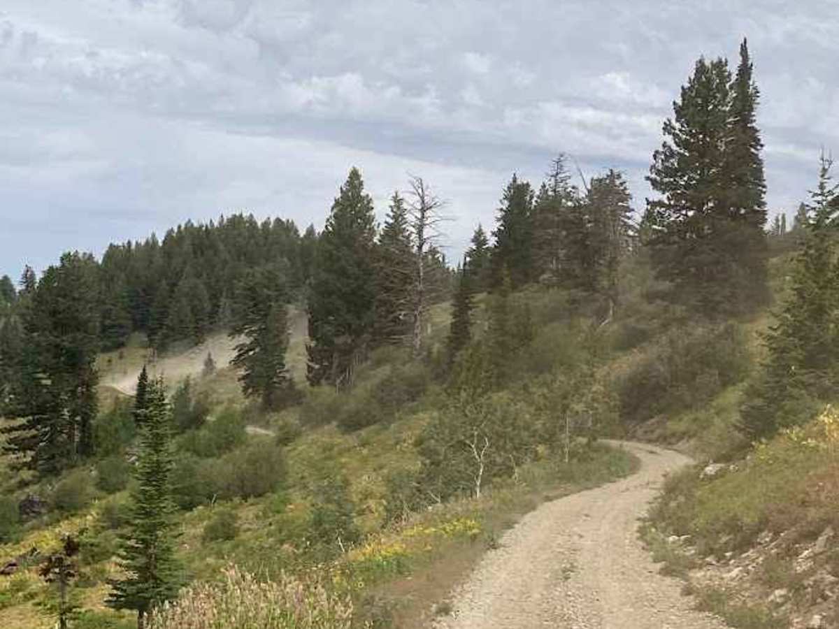 Sheep Rock trail photo