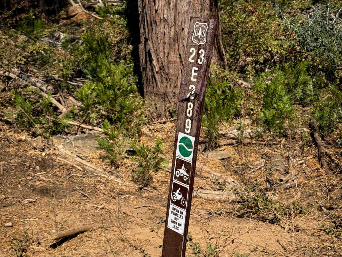 23E289  trail photo