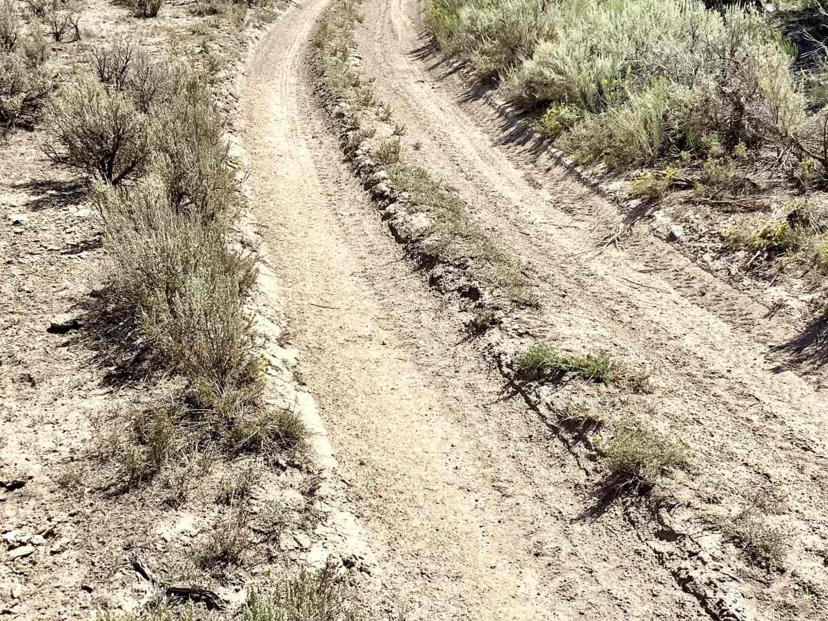 Deer Creek Trail photo 2