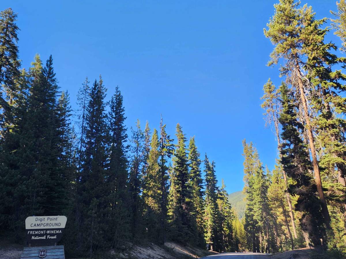 Miller Lake and Digit Campground - FS 9772 trail photo