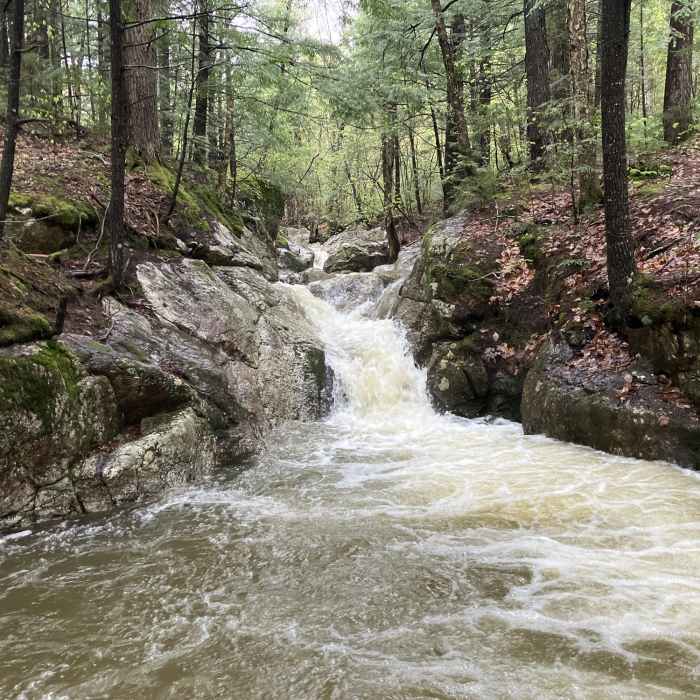 Near Mount Meader Trail (Trail #31874)