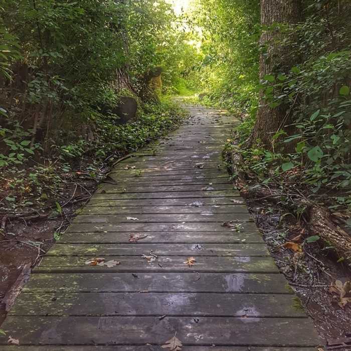 Waterville boardwalk Near Ice Age Trail: Waterville Segment