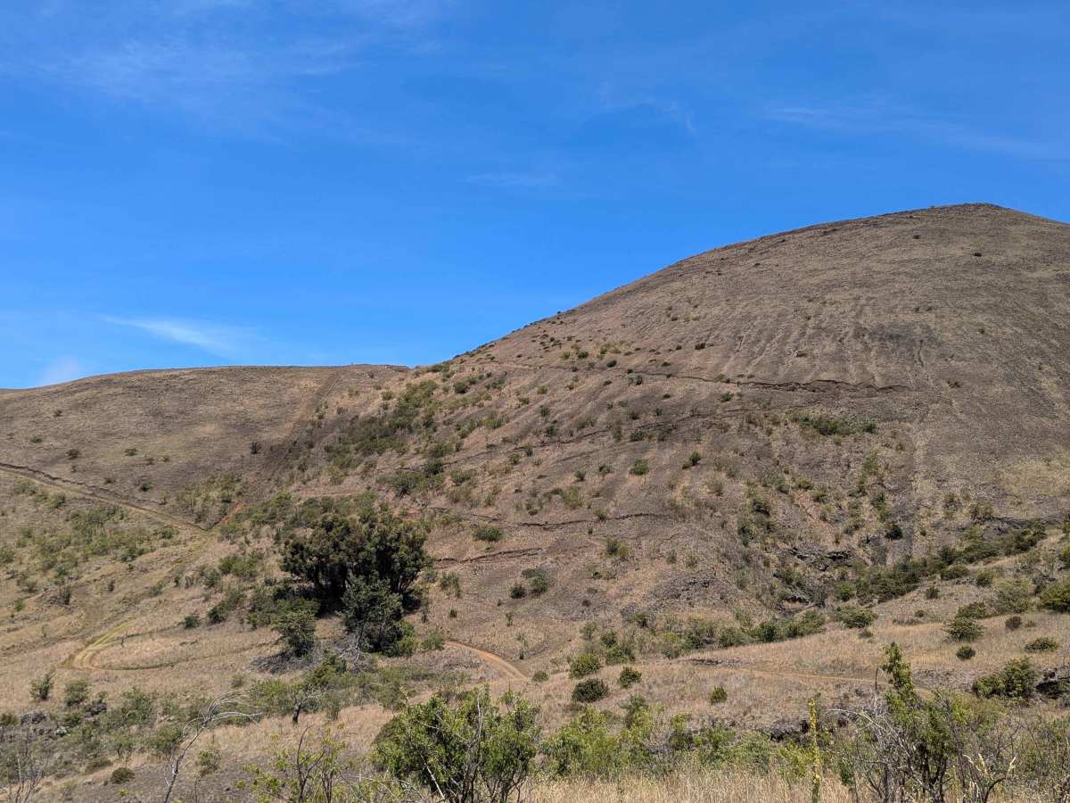 R-1 photo 6