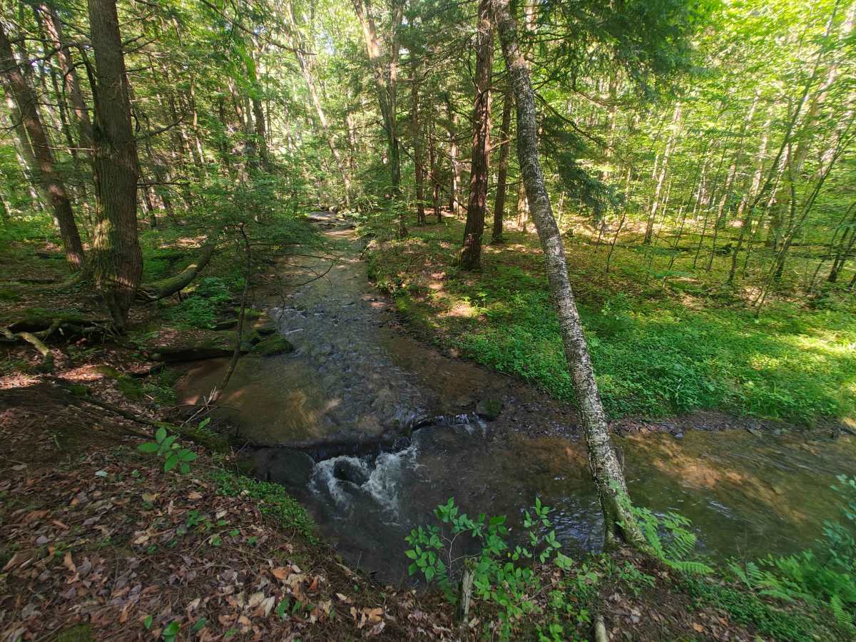 Fire Road 137 photo 5