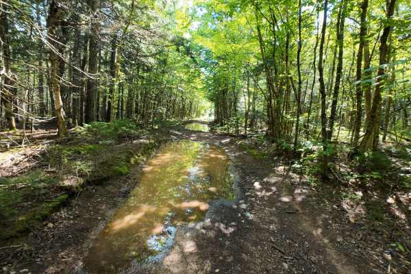 Woodworth Settlement Road