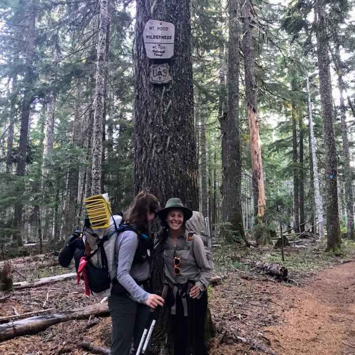 Near Pacific Crest Trail: Oregon Section F -- Highway 242 to Highway 35 (near Barlow Pass)