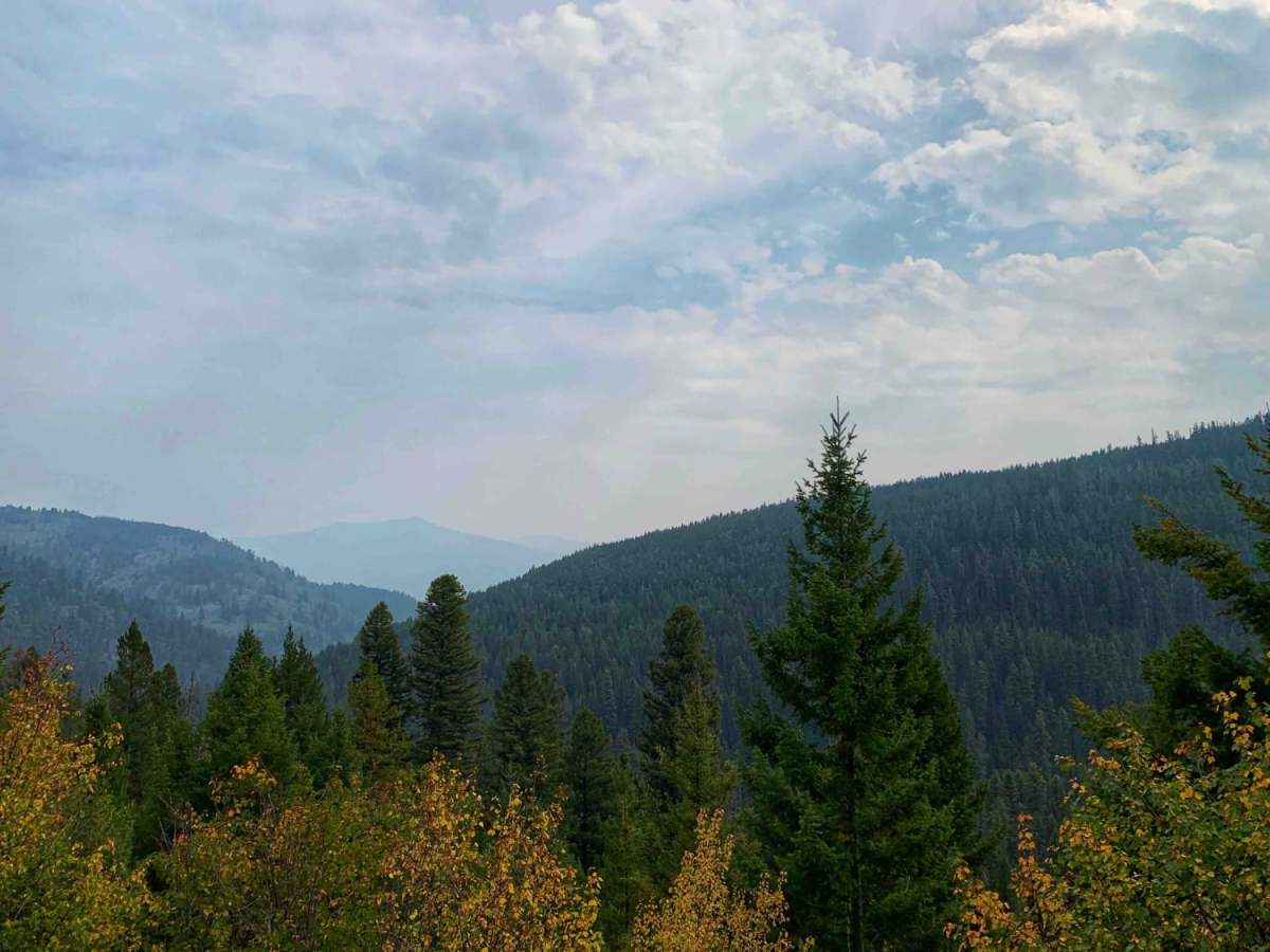 Sawmill Ridge Run photo 5
