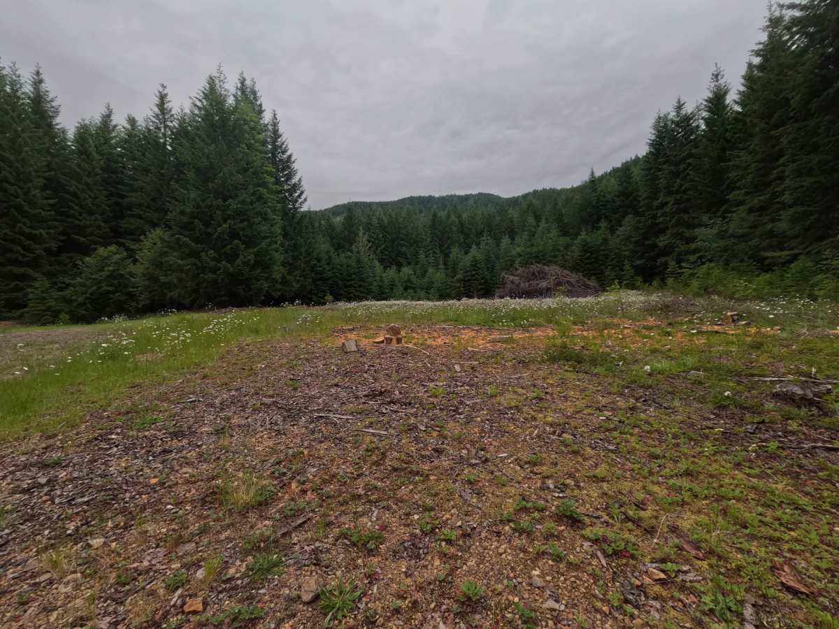 FS 2300246 photo 6