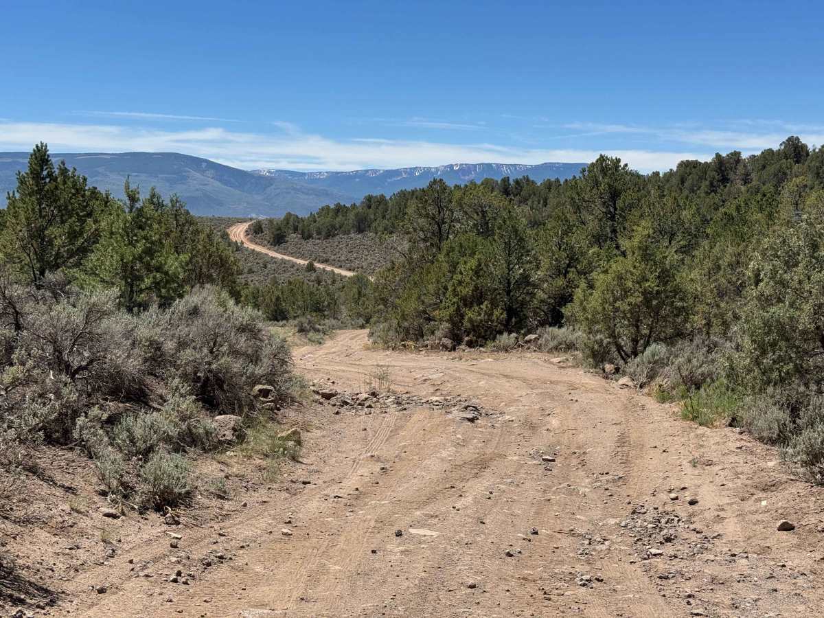 BLM 8480B trail photo