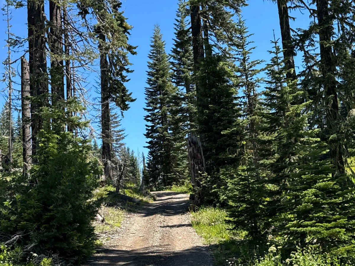 Hershberger Lookout Trail - OHV 26 photo 6