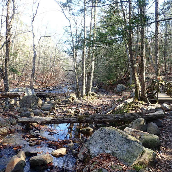 Near Harriman State Park Loop