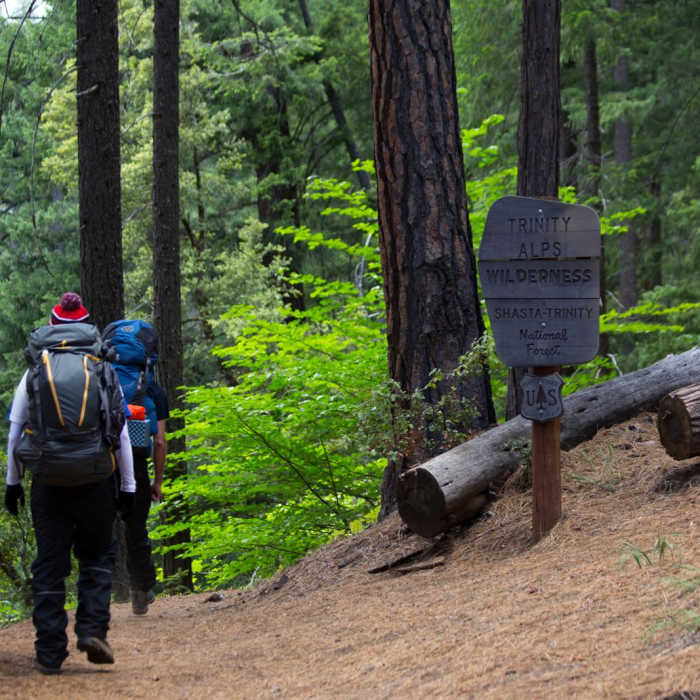 Near Canyon Creek Falls