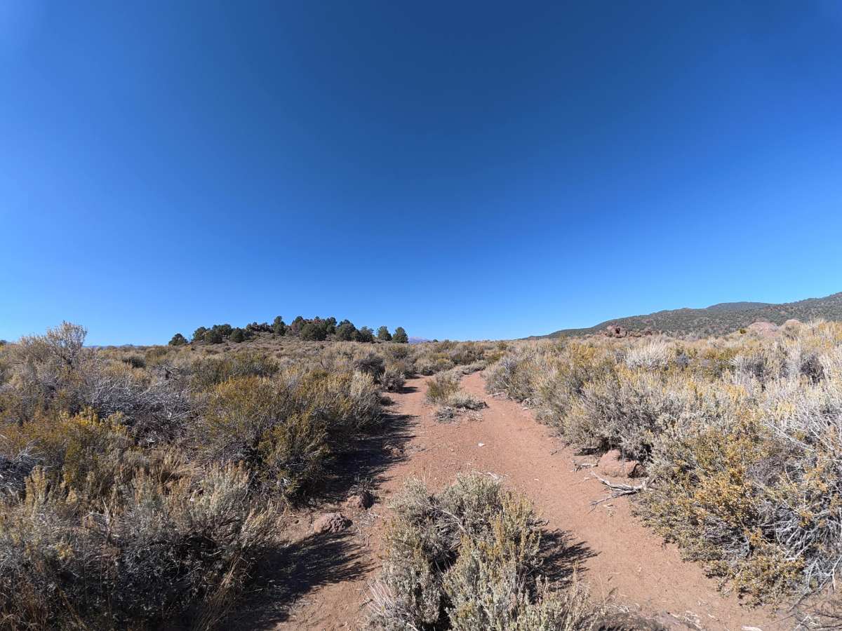 Dog Town Spur C photo 5