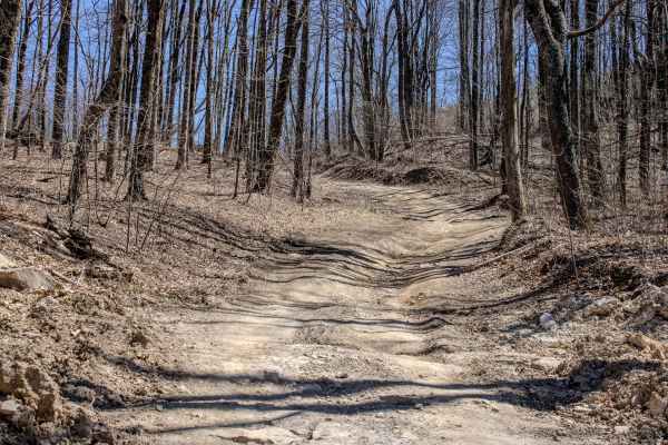 Pine Bald Trail