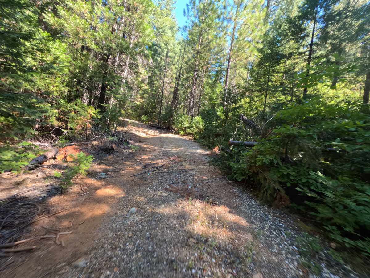 Harrison Ridge Spur A - FS 21N20A photo 5