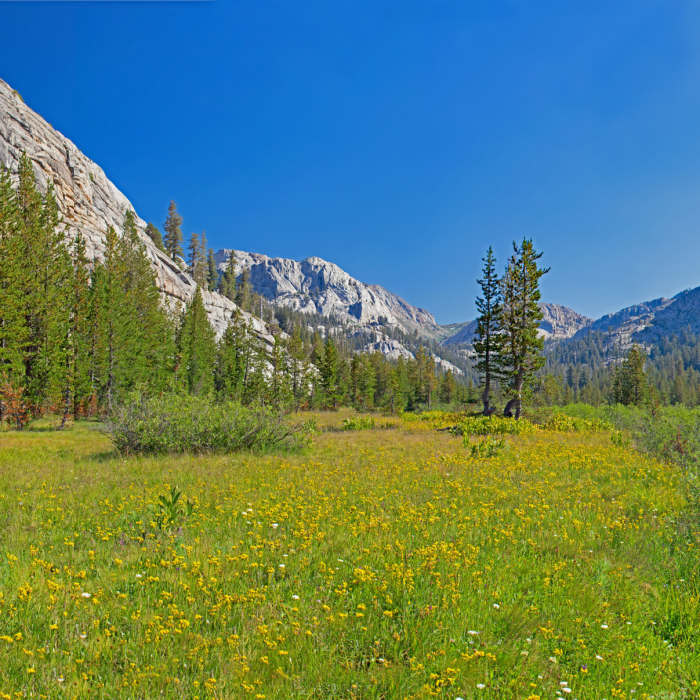 Near Emigrant Lake Trail