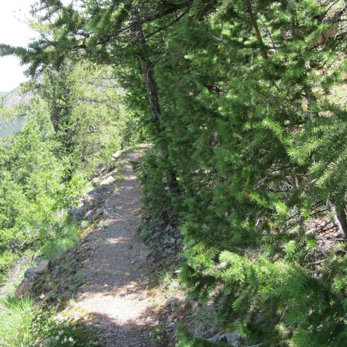 Near Silver Creek Trail