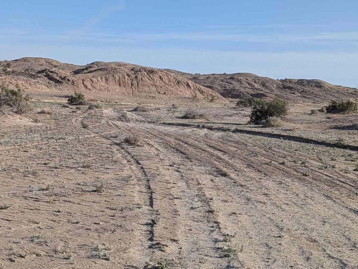 BLM 331 photo 3