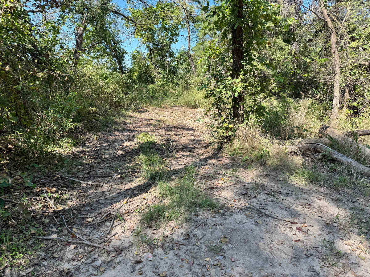 PTO Hill trail photo
