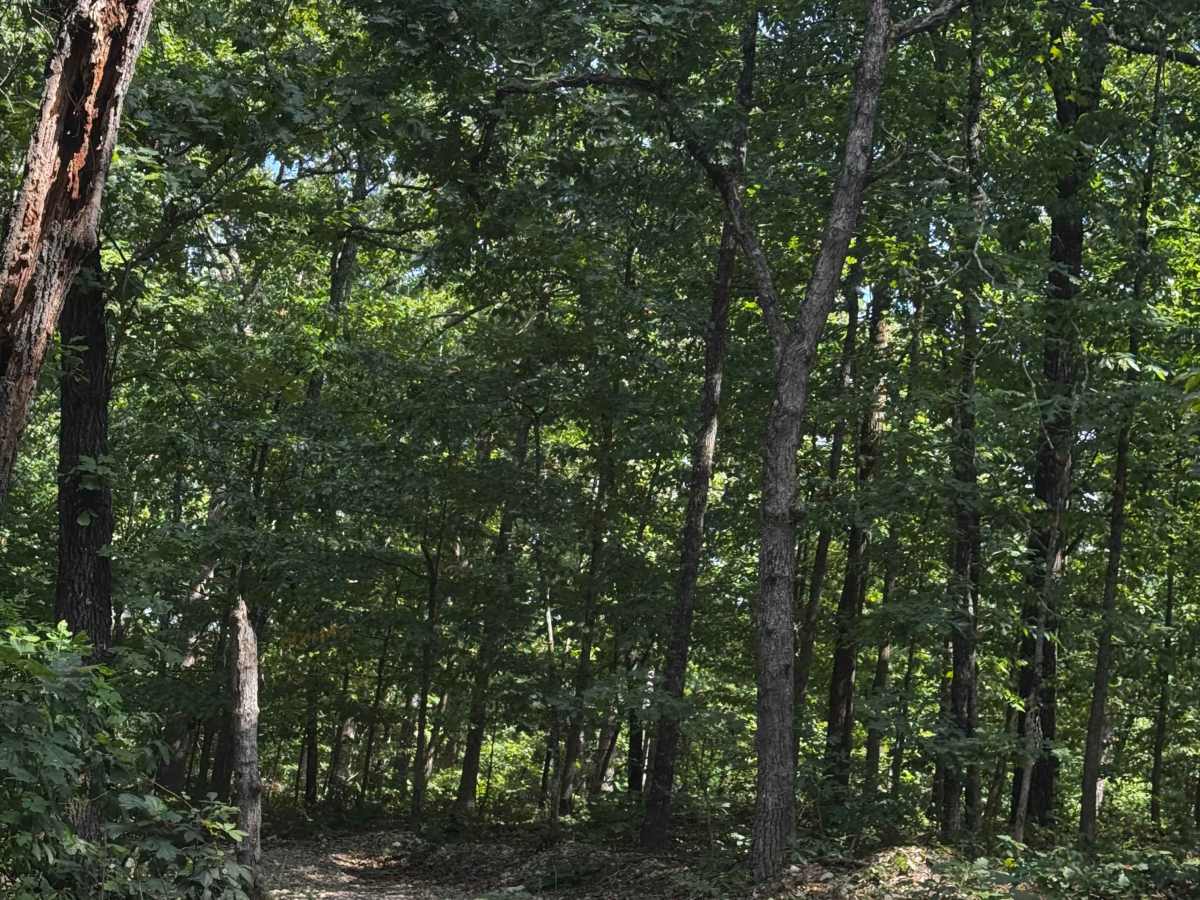 4x4 Obstacle photo 3