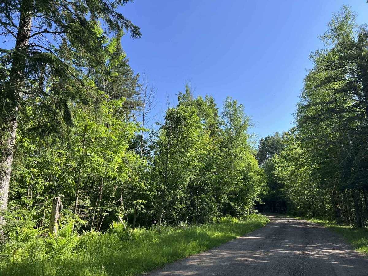 FS 2988A trail photo