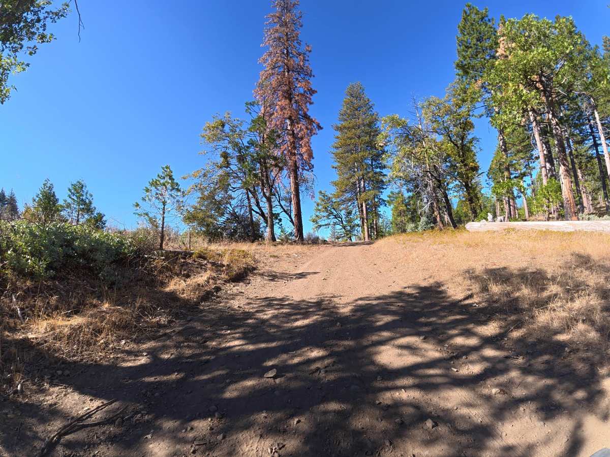 FS 4N89A trail photo