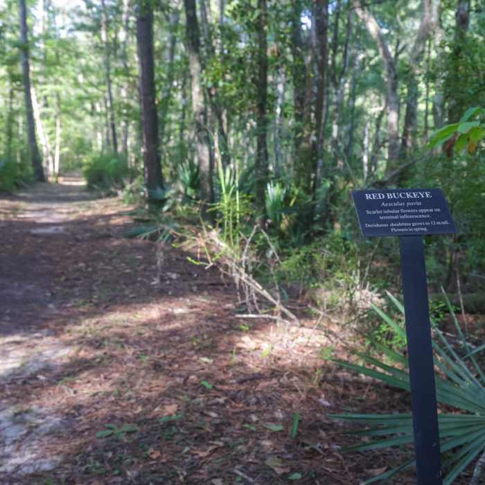 Near Savannah & Ogeechee Canal Trail Near Savannah & Ogeechee Canal Trail