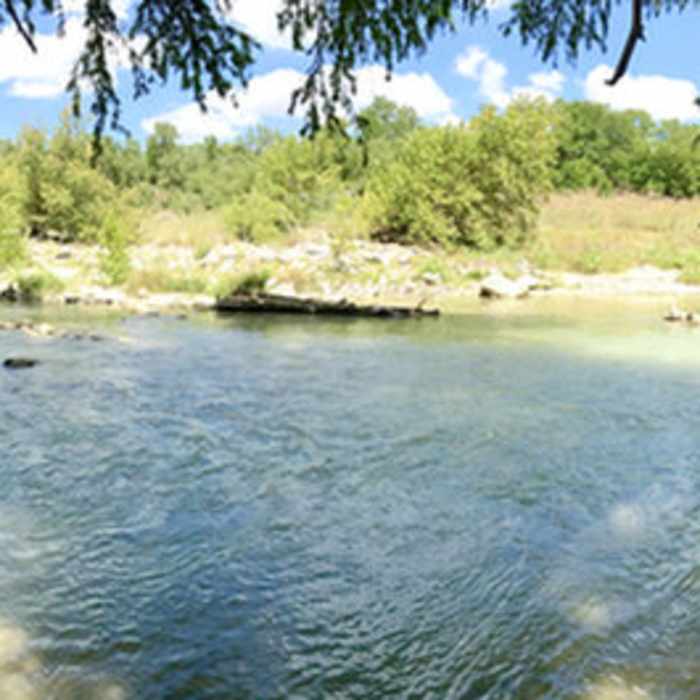 Near Bald Cypress Trail