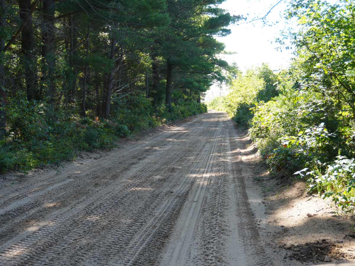 Rollway ORV Trail photo 2