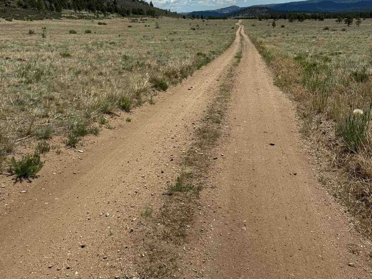 Forest Road 704 C photo 2