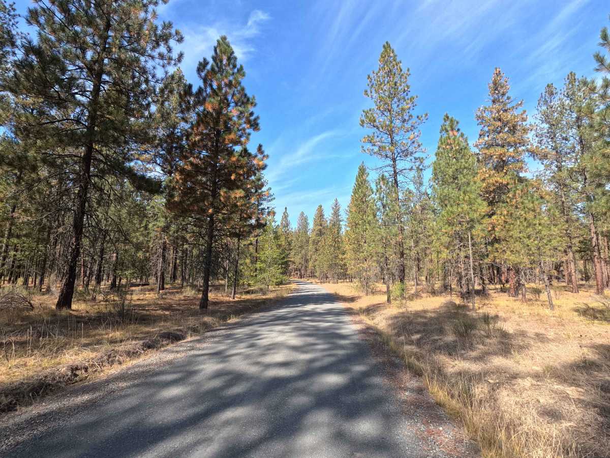 Starvation Flat Road photo 4