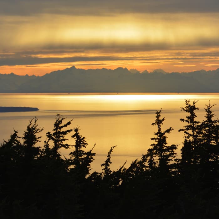 Cook Inlet, Alaska Near Black Lake Out-and-Back