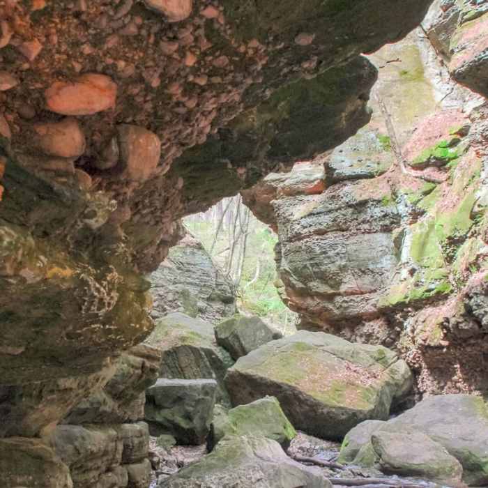 Near Parfrey's Glen Natural Area Near Parfrey's Glen Natural Area