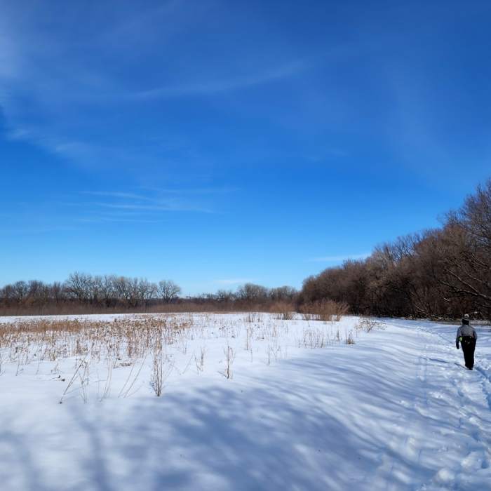 Passing the marshlands in winter. Near Long Meadow Lake Trail