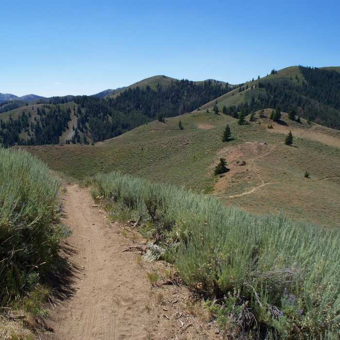 A beautiful day in Greenhorn Gulch is hard to beat! Near Mahoney Ridge Trail (aka Cow Creek Connector)