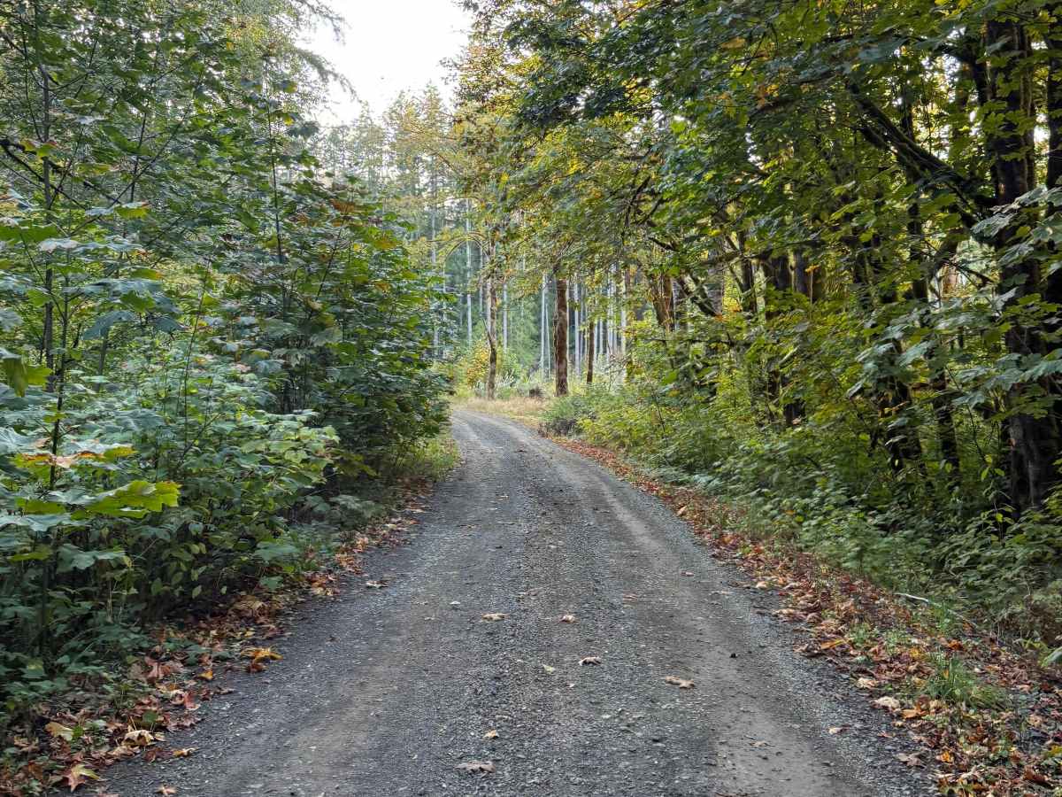 Prices Lake Road photo 5