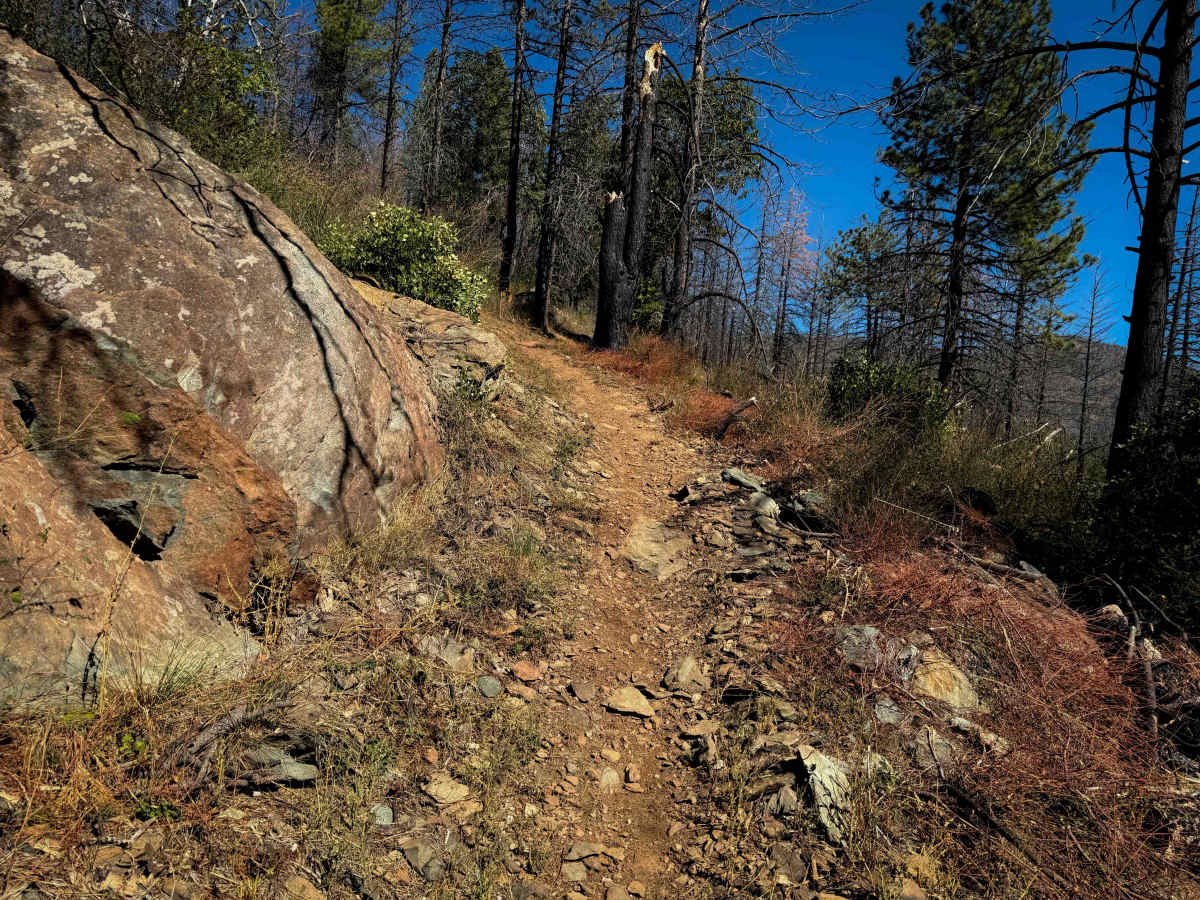 Indian Falls Ridge  trail photo