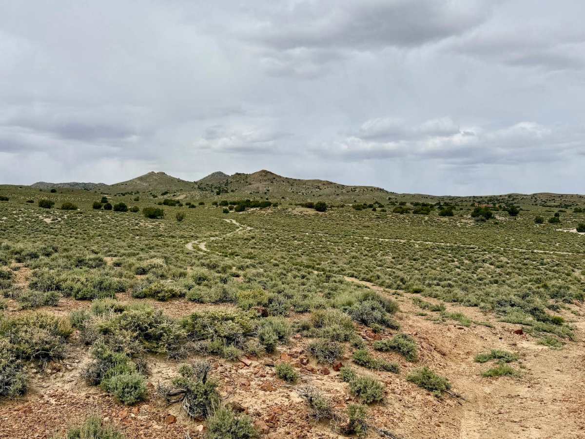 Parrotte Springs Trail - FS 44505 trail photo