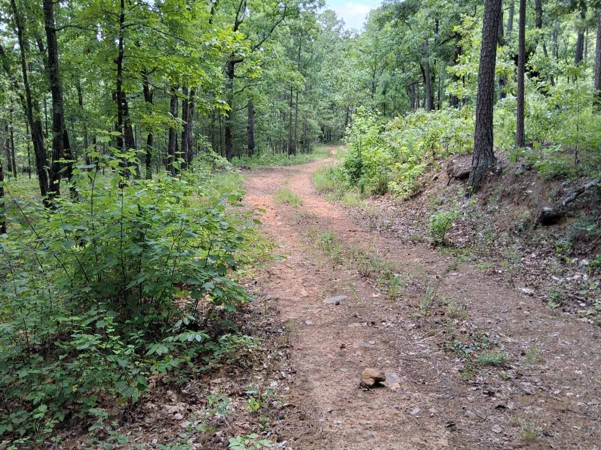 Stefoder Road photo 5
