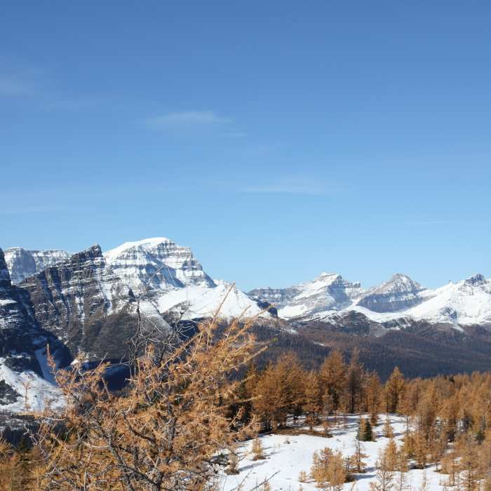 Near Healy Pass Out and Back