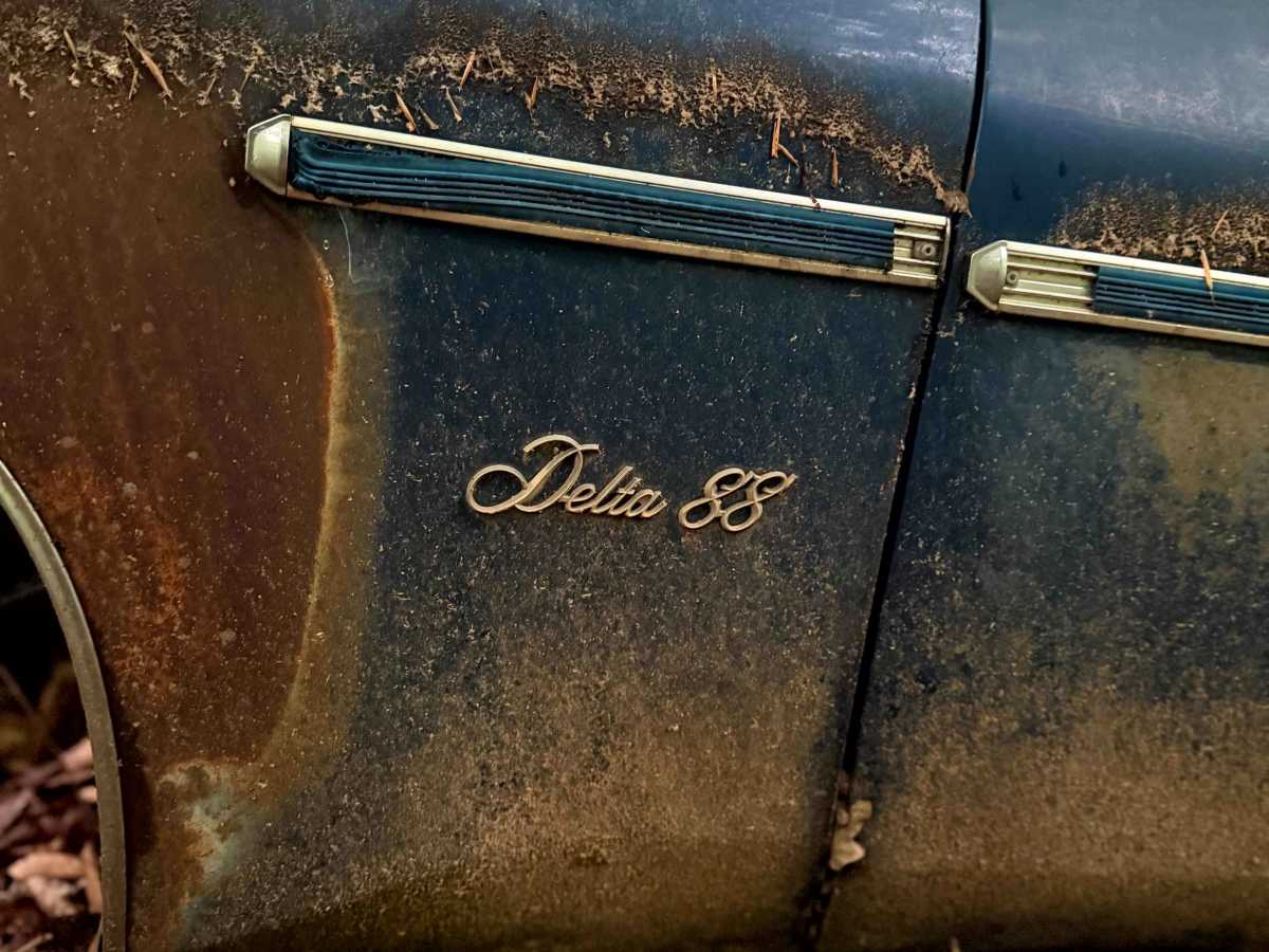 Delta 88 trail photo