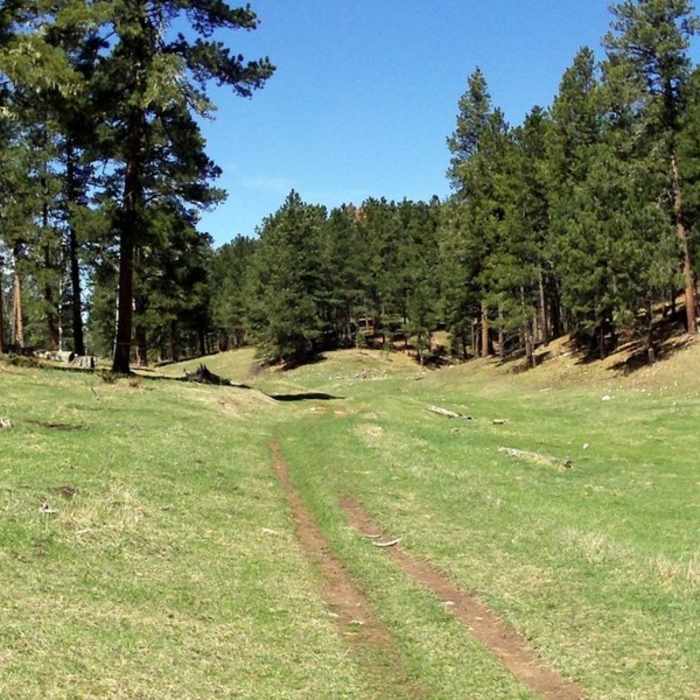 Typical Big Hill trail. Near Big Hill Trail Outer Loop