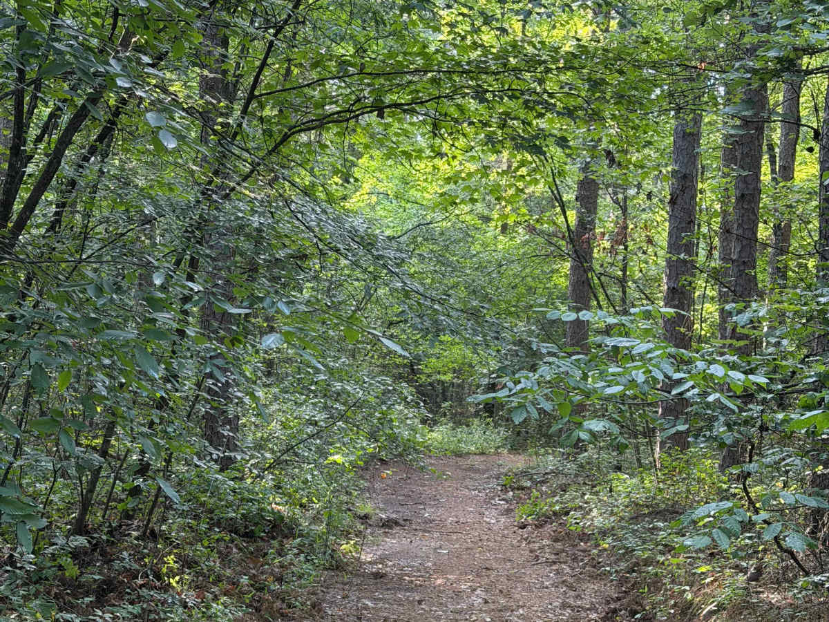 Perscillas Trail photo 5