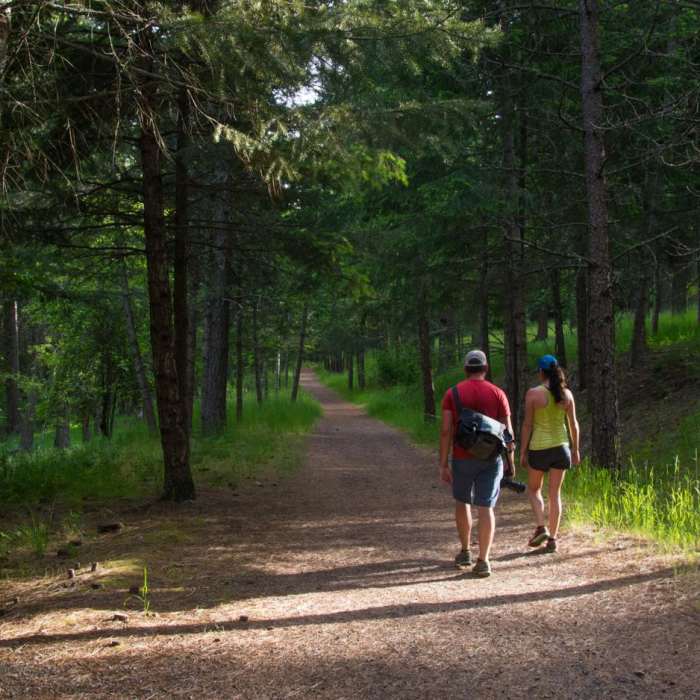 Near Beaver Bay Shoreline Trail